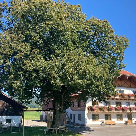 Biohof-Feichtinger Lejlighed Zell am Moos Eksteriør billede