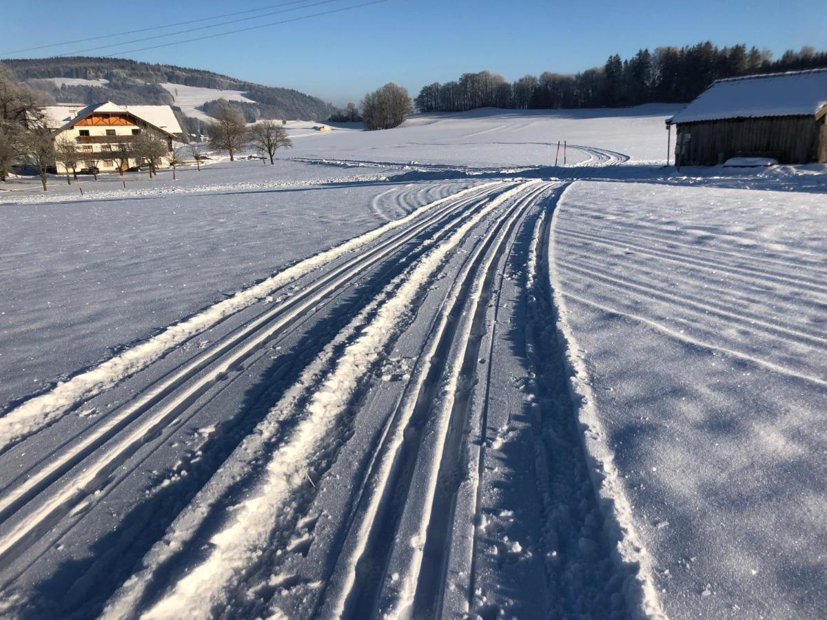 Biohof-Feichtinger Lejlighed Zell am Moos Eksteriør billede