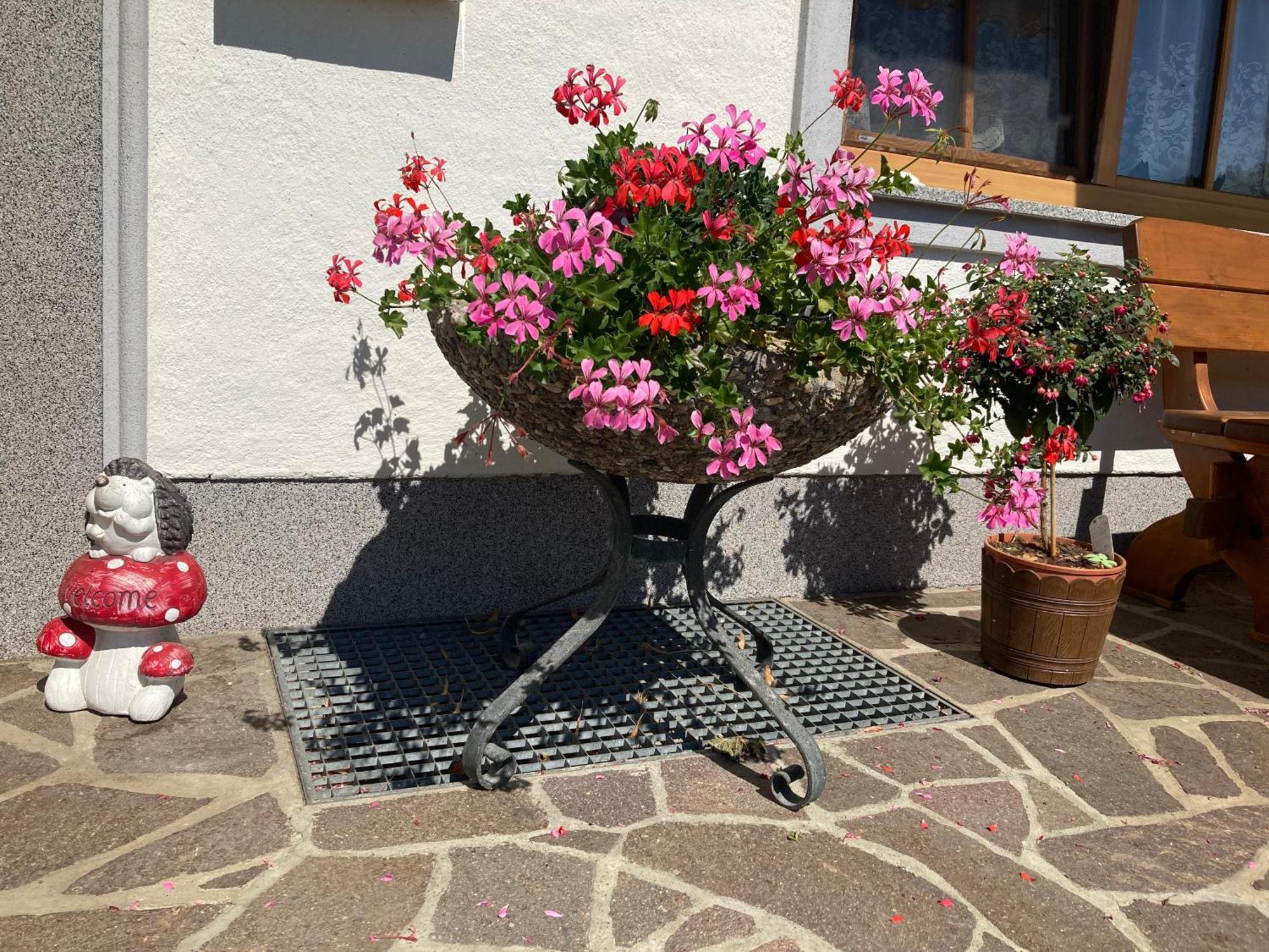 Biohof-Feichtinger Lejlighed Zell am Moos Eksteriør billede